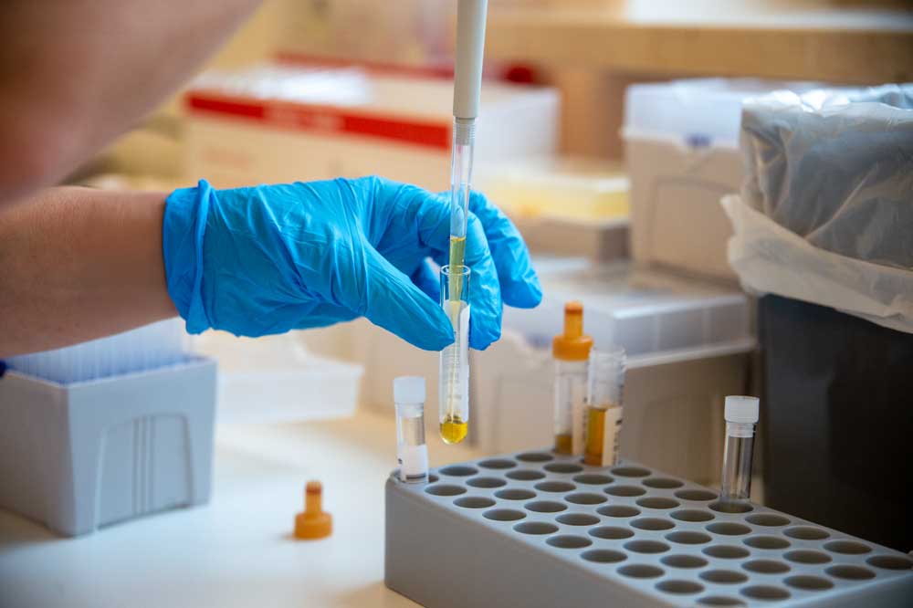 Labordiagnostik